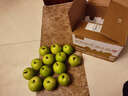 京地达梨砀山翠玉梨翠冠梨新鲜香梨子水果净重8.8斤单果250g+源头直发 实拍图
