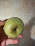 京地达山西青苹果 净重4.5斤单果120g起小苹果现摘酸甜脆爽源头直发包邮 实拍图