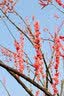 佳能（Canon） EOS 6D MarkII 全画幅单反相机 佳能6d2 vlog数码单反相机 佳能6D2单机身+E6NH原装电池 套餐四【套餐五配件升级不加价~强烈推荐套餐五】 实拍图