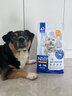 中鲨狗粮拼派肉松肉粒泰迪幼犬小型犬成犬柯基柴犬比熊专用幼犬粮 天然活力1.5kg*4 实拍图