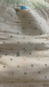 爱儿可（arok）婴儿纸尿裤拉拉裤蚕丝蛋白系列尿不湿 丽家宝贝 XXL码拉拉裤（≥15kg） 1包 28片 实拍图