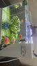 长锐侧滤鱼缸桌面办公室免换水生态水草超白水族箱 K400造景版【长41 宽22 高29】 实拍图