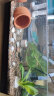 阔庭（KUOTING）鱼缸桌面透明生态鱼缸客厅水族箱黑色 实拍图