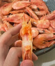 鲜拔头筹 北极甜虾 元宝虾90-120带籽熟冻即食特大海虾冰虾生鲜虾类熊礼盒 北极甜虾 4斤(净重) 实拍图
