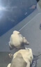 玻璃划痕修复剂无需抛光窗户汽车玻璃修复液前挡玻璃裂痕修补还原 买2送1【不伤玻璃】 实拍图