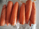 【霜打菜】沙地脆甜胡萝卜约500g  实拍图