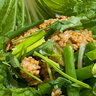 鹿凌青白菜叶饭包东北大白菜叶子新鲜蘸酱蔬菜大饭包打饭包菜叶发顺丰 20片白菜叶无酱【发顺丰】 实拍图