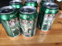 青岛啤酒经典11度栈桥风光330ml*24啤酒整箱啤酒组合装聚会出游 330mL 12罐 箱装 实拍图