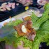 新厨夫 电烧烤炉多功能电烤炉火锅烤肉两用锅家用无烟电烤盘鸳鸯涮烤一体二用锅 电烧烤炉烤肉盘 XCF4 加大升级版 可分离鸳鸯款 2层 实拍图