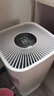 海尔（Haier）空气净化器除甲醛双数显家用智能除菌卧室雾霾粉尘除异味氨基酸分解除醛 【甲醛/PM2.5双数显】高效除醛 实拍图