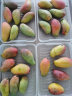 探味君 海南贵妃芒果 新鲜水果甜心红金玉青煌芒整箱 9斤 净重8.5斤 【时令尝鲜】单果50-100g 实拍图