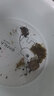 萌龟饲家中华黑腹金线 情侣一对草龟小乌龟活体水陆观赏中华草龟墨龟活物 4-5厘米特大苗 2只情侣龟 100克龟粮 实拍图