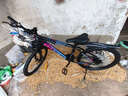 凤凰上海凤凰山地车自行车男士女式学生成人变速宽胎越野公路赛单车 【钢架/全套竞速轴承】条轮炫彩 24寸24速【建议身高138-168cm】 实拍图