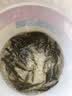 熊火加厚齐腰下水裤半身捕鱼雨裤男连体雨鞋防水衣服水叉裤耐磨 黑色85丝下水裤40码 实拍图