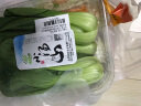小汤山 北京 油菜 250g 基地直供新鲜蔬菜 实拍图