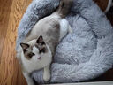 憨憨乐园狗窝猫窝垫子小型犬泰迪宠物窝床猫咪狗狗四季保暖窝垫子长毛窝M 实拍图
