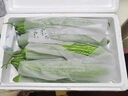 【京东物流】农家新鲜苦瓜蔬菜清热降火农家自种现摘现发生鲜 新鲜苦瓜 3斤 带箱 实拍图