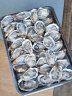 贝司令乳山生蚝鲜活牡蛎贝类海鲜水产露营烧烤食材 2XL 净重9斤 32-38只 实拍图