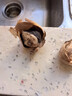 信盛堂胖东来同款 黑蒜独头正宗黑蒜头 特级500g山东特产发酵黑蒜微裂皮 无裂皮大个头250g瓶装*2瓶（送黑蒜山楂块） 实拍图