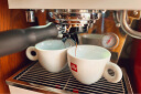 LA MARZOCCO linea micra辣妈咖啡机 半自动意式家用咖啡机  micra系列 意大利进口 linea micra 白色 实拍图