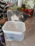 HELLOJOY宠物猫咪饮水机流动水静音猫饮水器喝水器自动循环猫狗喂水 白色 实拍图