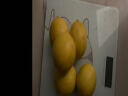 惠鲜美安岳黄柠檬 新鲜水果柠檬泡水小柠檬 1斤 实拍图