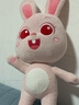 宝宝巴士毛绒玩具儿童女生礼物可爱兔子玩偶兔一一公仔40cm生日礼物 兔一一公仔 40cm 实拍图