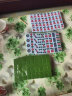 淞洲馨家用麻将牌中号大号中档家用手搓麻将送麻将布机器麻将+色子 48号中档机器麻将108张筒条万+布 实拍图