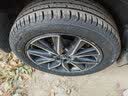 邓禄普（DUNLOP）轮胎/汽车轮胎 225/55R19 99V GRANDTREK PT3 适配哈弗H6/CS75 实拍图
