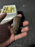 淘运阁【精品千眼菩提子新果】原籽原料天然绿果白果大果胖果文玩手把件 畸形果8厘米5个送砂纸抛光 实拍图