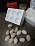 百世富泽（BAISHIFUZE）【百世富泽】黄河滩大鹅蛋新鲜正宗土鹅蛋农家自养孕妇超大鹅蛋 12枚90-120克 实拍图