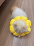 加仕高伊丽莎白圈猫咪项圈狗脖圈防舔宠物头套围脖用品绝育S 实拍图