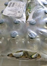 泰象苏打水青柠味325ml*24瓶泰国进口无糖弱碱性气泡水整箱 实拍图