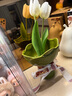 京东鲜花创意花束陶瓷花瓶花器客厅餐桌柜子插花水养鲜花高级感摆件装饰品 实拍图