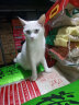 富力鲜（frisian)猫罐头湿粮 泰国进口 白身鲔鱼+牛肉85g*24罐 实拍图