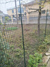 界图 塑料网格防护养殖养鸡围栏网玉米网围栏安全网防护网格护栏围网 1.5米高+3厘米孔+扎带 2.3mm厚(50米/卷)【简单防护】 实拍图
