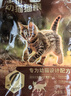 京东京造 幼猫全价猫粮4.5kg(1.5kg*3) 乳清蛋白羊奶免疫护肠胃 实拍图