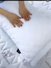 洁丽雅（Grace）纤维枕 星级酒店枕头枕芯 46*72cm 一对装（2只装） 实拍图
