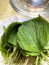 新鲜苏子叶蔬菜东北特产当季叶菜韩国烤肉包肉饭蘸酱菜绿色紫苏叶 250克 实拍图