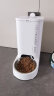 小佩智能自动喂食器SOLO白色 猫碗猫狗喂食器定时定量猫咪自动投食器 实拍图