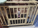 蔻丝【加粗全方管】狗笼子中大型犬一体带厕所分离金毛边牧拉布拉多笼 【三代96款暖黄】15MM方管 实拍图