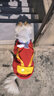 憨憨宠 狗狗衣服猫衣服宠物泰迪衣服冬季猫咪衣服小型犬衣服幼犬秋冬服 红色 花朵小背包卫衣 XL号建议体重11-15斤 实拍图