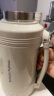 摩飞电器（Morphyrichards）电水壶 便携式烧水壶家用旅行户外大容量电热水壶保温壶 双层不锈钢防烫电热水杯MR6061椰奶白 晒单实拍图