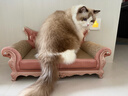 梵都宠舍猫抓板猫窝一体大号豪华贵妃躺椅猫玩具猫沙发 实拍图