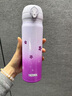膳魔师（THERMOS）保温杯不锈钢水杯紫樱500ml保冷杯子便携男女士生日礼物JNL-500 实拍图