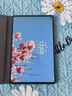 华为平板电脑MatePad Pro 11二合一平板高刷120Hz全面屏鸿蒙骁龙学习娱乐办公 【24款】12G+512G WIFI 雅川青 官方标配【晒单送礼】 实拍图