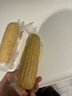 东北农嫂糯玉米甜糯香粘真空装黏玉米棒吉林产低脂主食可选有机 【甄选300g大棒】白糯2.5kg约8根 实拍图
