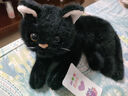 蓝诗诺小猫咪毛绒玩具仿真宠物玩偶动物模型儿童猫偶猫咪公仔送儿童礼物 仿真猫-黑猫【毛绒款】 均码 实拍图