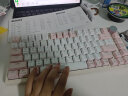 本手机械键盘女生粉色有线键盘无线蓝牙三模高颜值Gasket软弹结构台式笔记本平板电脑游戏打字办公键盘 郁金香粉白（红轴-混光）有线版+Gasket结构 实拍图