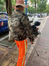 金薇朵36V降温空调服男款制冷带四个风扇的衣服工人防暑工地工作服夏季 2风扇宝蓝2件+36V挂腰大电池1套【3C认证】 L 【110-125斤】顺丰极速达 实拍图